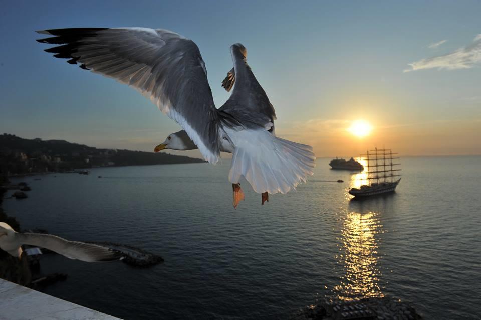 Sorrento Coast Relais Hotel Meta Ngoại thất bức ảnh